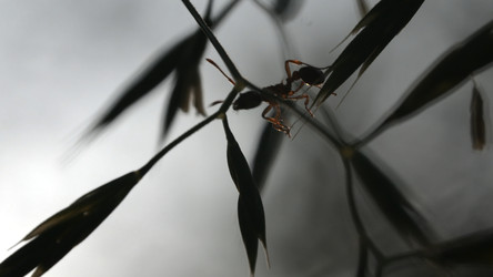 Similar image 22400957