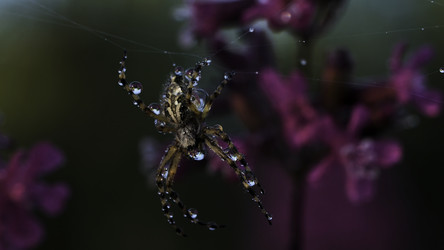 Similar image 22401032