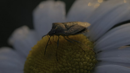 Similar image 22401092