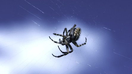 Similar image 22401182