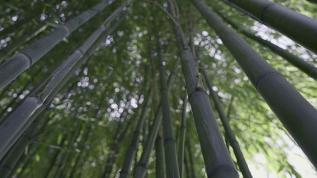 Similar image 22401212