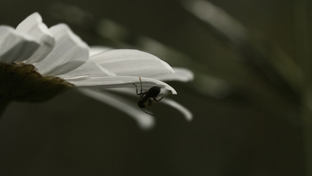 Similar image 22405522