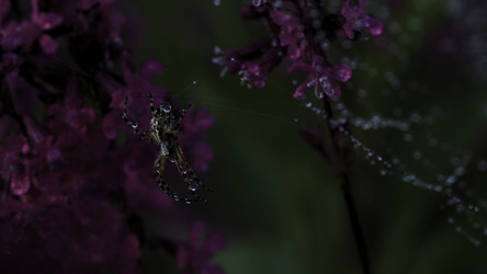 Similar image 22405613