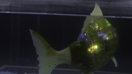 Similar image 22405629