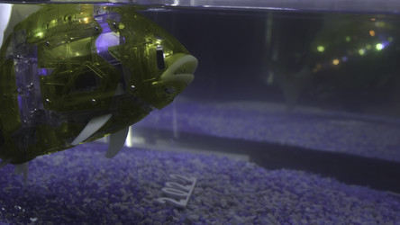 Similar image 22405645