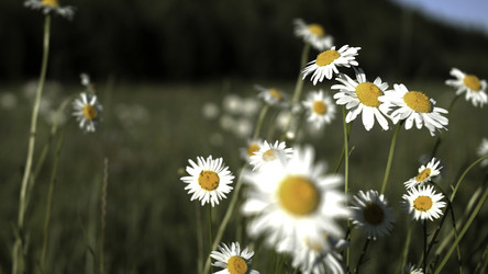 Similar image 22405705