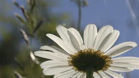 Similar image 22405958