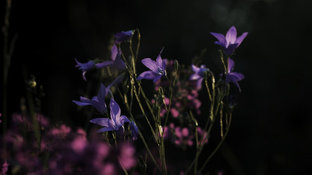 Similar image 22406048