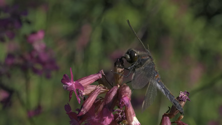 Similar image 22406424