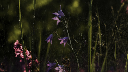 Similar image 22406513