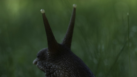 Similar image 22406574