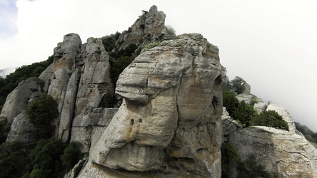 Similar image 22406726