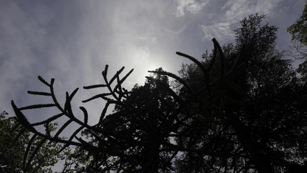 Similar image 22406754