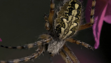 Similar image 22406796