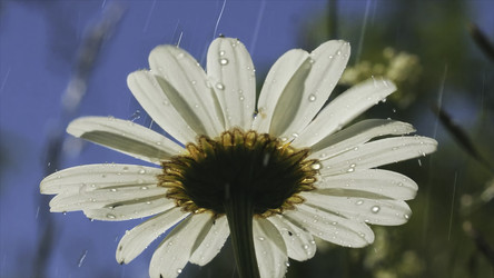 Similar image 22406814