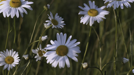 Similar image 22406874