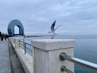 Similar image 22456494