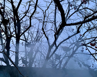 Similar image 22456495