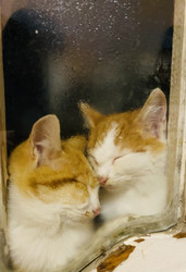 Similar image 22456496