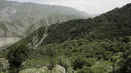 Similar image 22407309