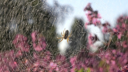 Similar image 22407443