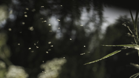 Similar image 22407471