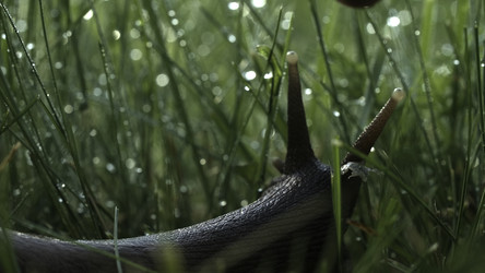 Similar image 22407594