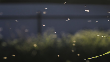 Similar image 22407646