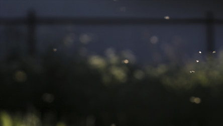 Similar image 22407662