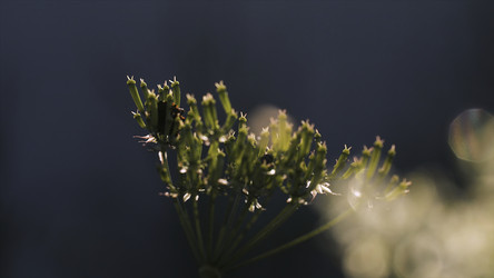 Similar image 22407663