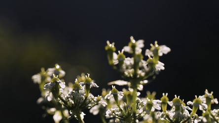 Similar image 22407676