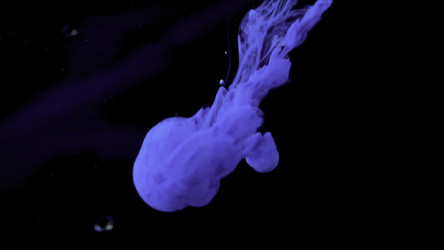 Similar image 22407692