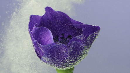 Similar image 22407722