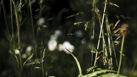 Similar image 22407723