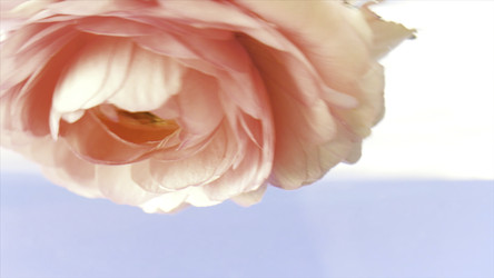 Similar image 22407737