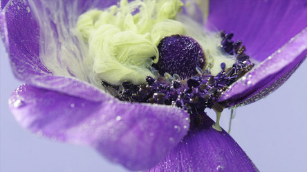 Similar image 22407751