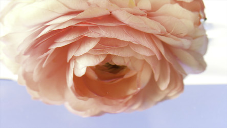 Similar image 22407767