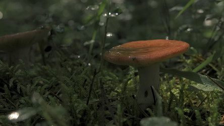 Similar image 22407768