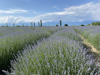 Similar image 22464551