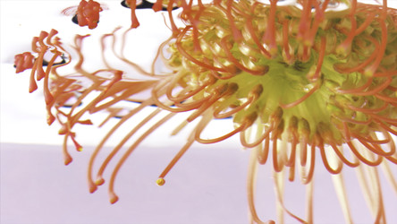 Similar image 22407856