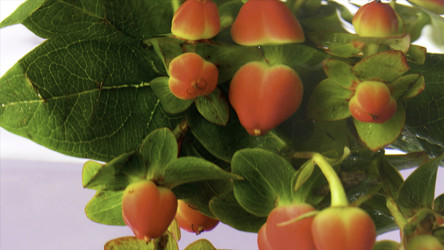 Similar image 22407887