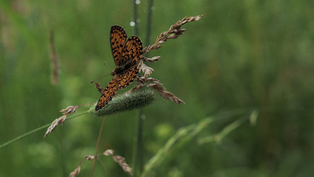 Similar image 22407902