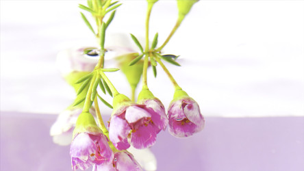 Similar image 22407917