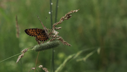 Similar image 22407931