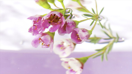 Similar image 22407947