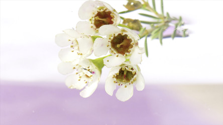 Similar image 22407976