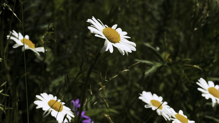 Similar image 22407991