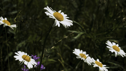 Similar image 22408022