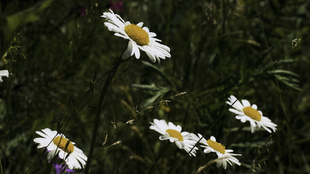 Similar image 22408052