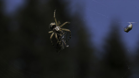 Similar image 22408081